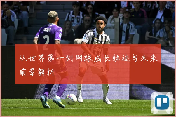 从世界第一到网球成长轨迹与未来前景解析
