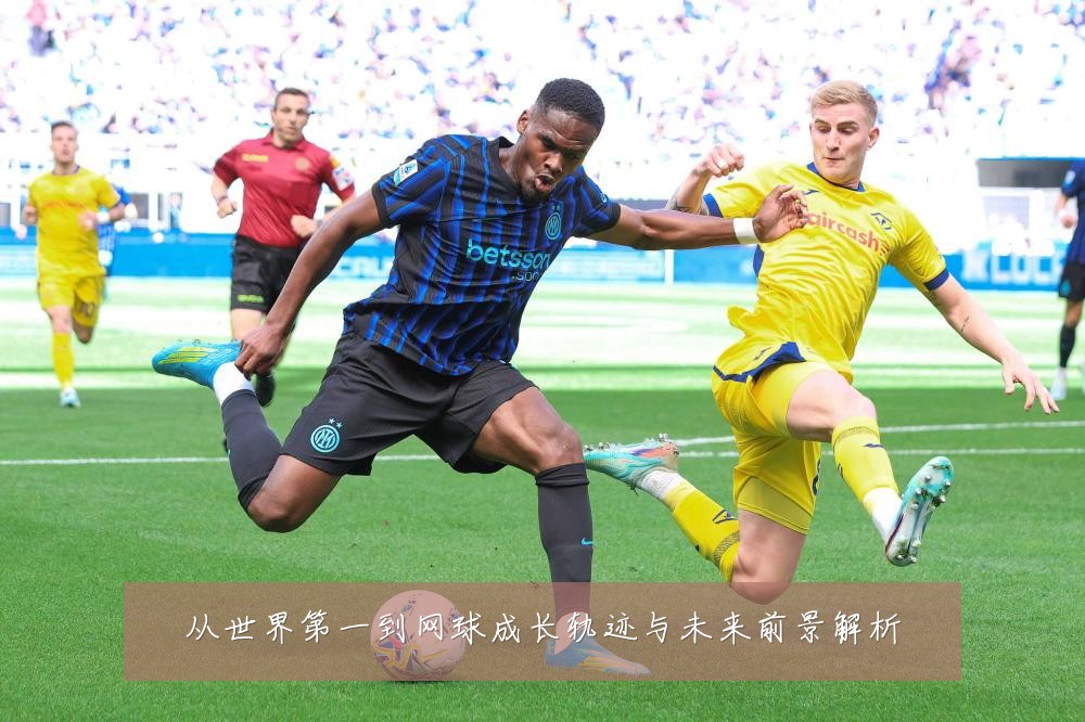 从世界第一到网球成长轨迹与未来前景解析
