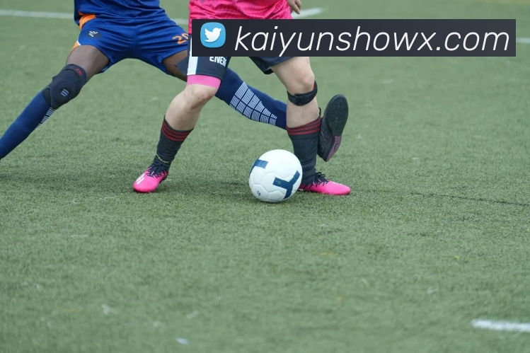 开云平台展示图